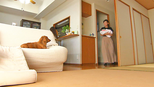ココア きょうのわんこ 写真2