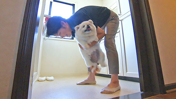 クララ きょうのわんこ 写真3