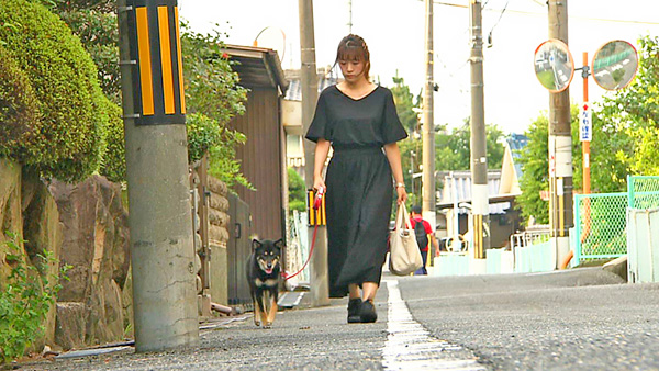 ぴー きょうのわんこ 写真2
