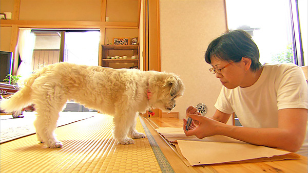 もも きょうのわんこ 写真7