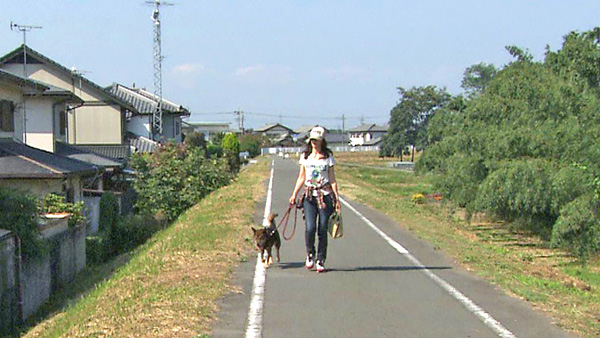 ボス きょうのわんこ 写真2
