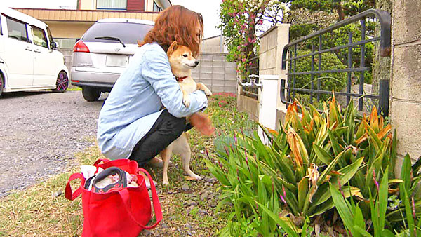 花 きょうのわんこ 写真2