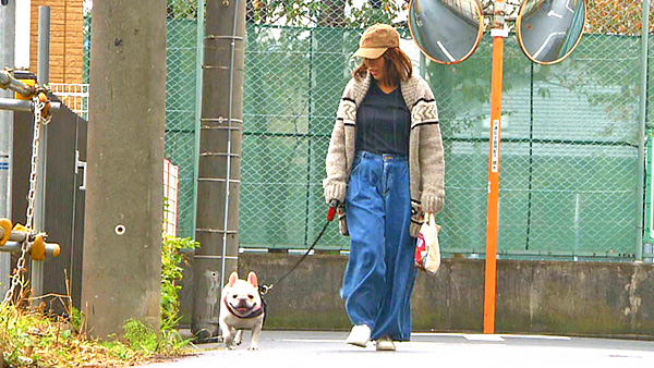 ピグ きょうのわんこ 写真2