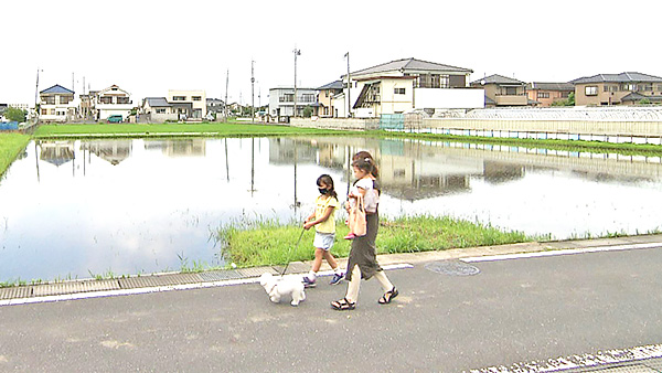 トト きょうのわんこ 写真7