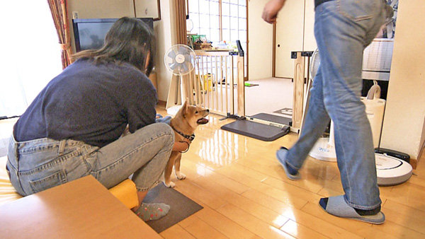コロ きょうのわんこ 写真2