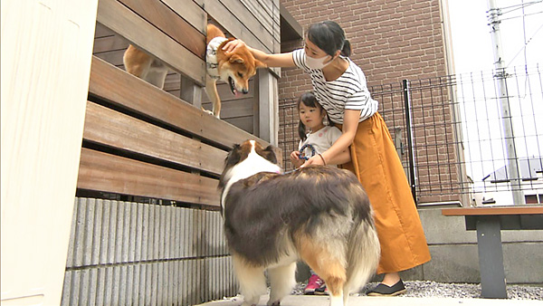 権蔵 きょうのわんこ 写真4