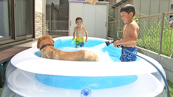 オコメ きょうのわんこ 写真2