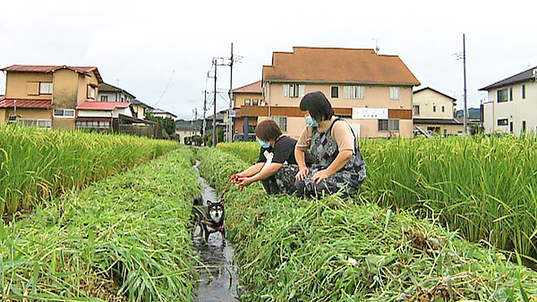 さくら きょうのわんこ 写真4