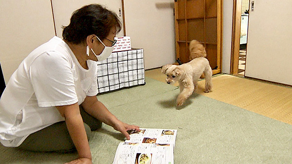 そら きょうのわんこ 写真5