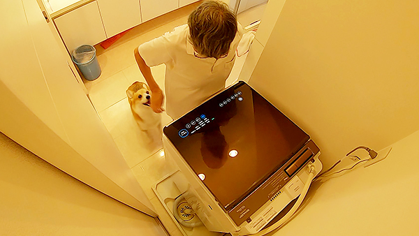 かえで きょうのわんこ 写真3