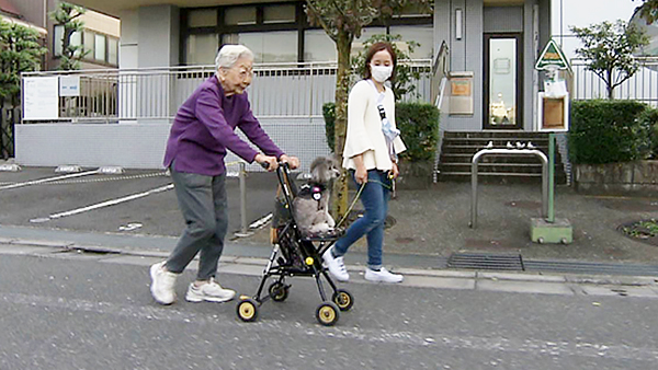 ポシェット きょうのわんこ 写真4