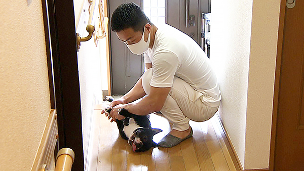 エルモ きょうのわんこ 写真4