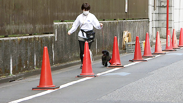 康太 きょうのわんこ 写真4