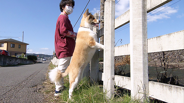 くるみ きょうのわんこ 写真3