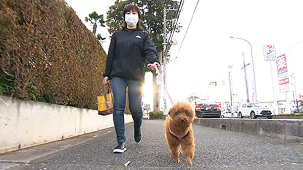 ベル きょうのわんこ 写真1