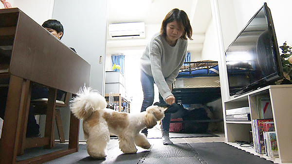 はんぺん きょうのわんこ 写真5