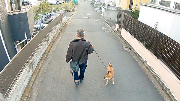まこ きょうのわんこ 写真3
