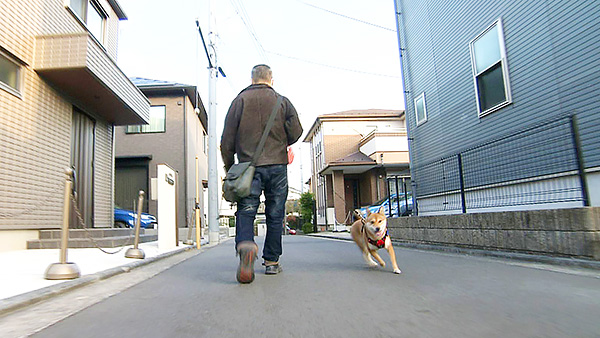 まこ きょうのわんこ 写真4