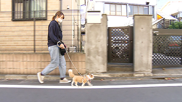 こつぶ きょうのわんこ 写真4