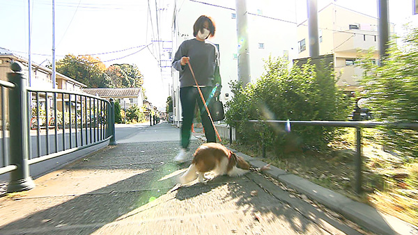 メロ きょうのわんこ 写真2