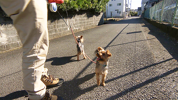 キャップ きょうのわんこ 写真2