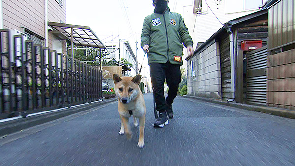 おこめ きょうのわんこ 写真1