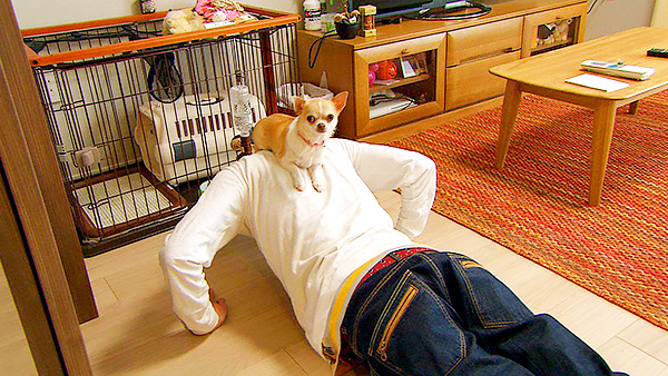 マロン きょうのわんこ 写真2