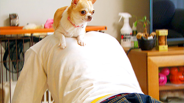 マロン きょうのわんこ 写真3