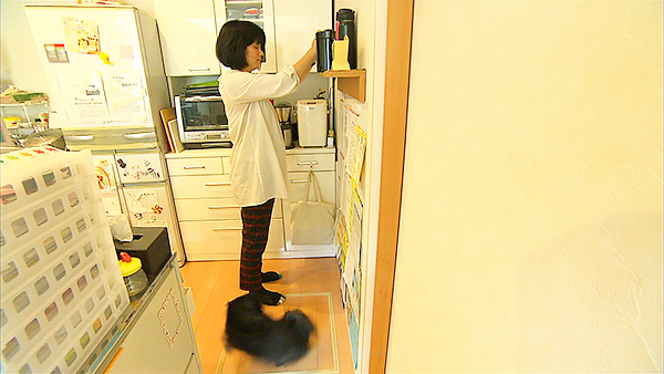 デイジー きょうのわんこ 写真2