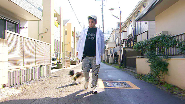 エース きょうのわんこ 写真4