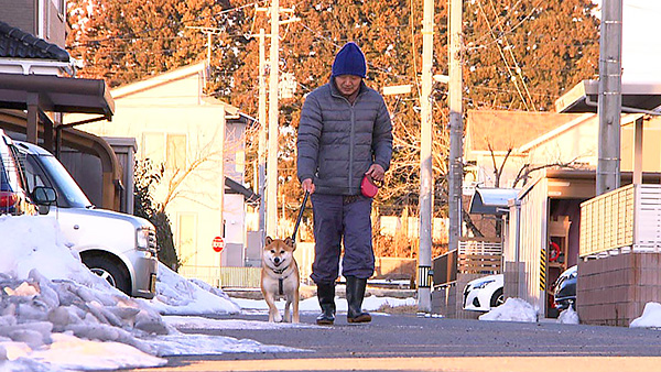 力丸太郎 きょうのわんこ 写真2