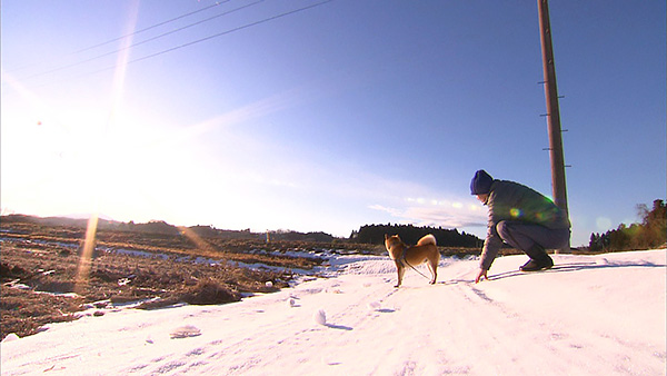 力丸太郎 きょうのわんこ 写真3