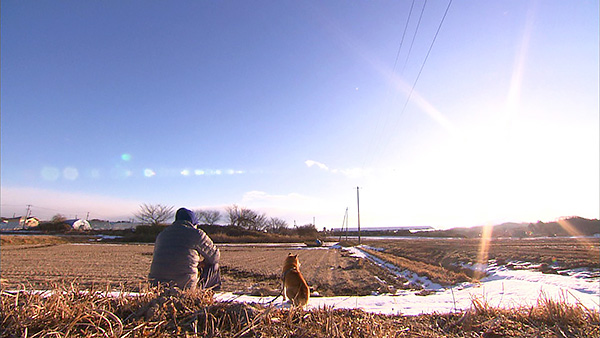 力丸太郎 きょうのわんこ 写真5