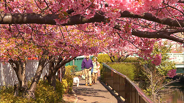 みゆき きょうのわんこ 写真2