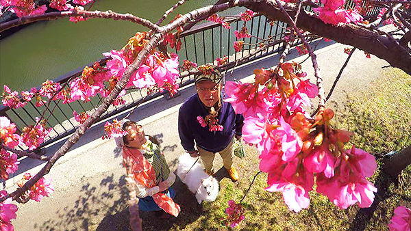 みゆき きょうのわんこ 写真3