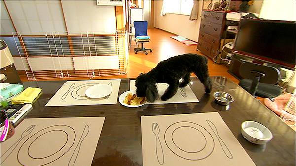 さくら きょうのわんこ 写真5