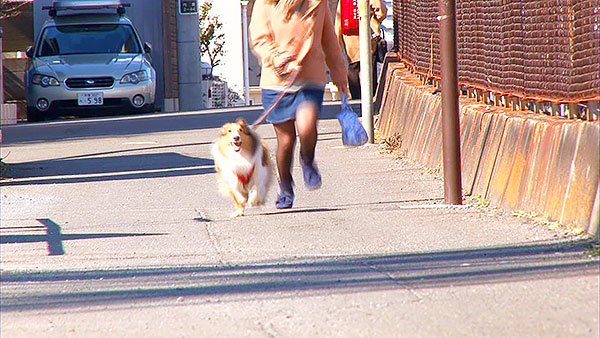 まろん きょうのわんこ 写真3