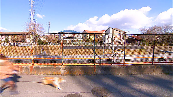 まろん きょうのわんこ 写真4