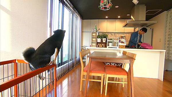 ぱん きょうのわんこ 写真3