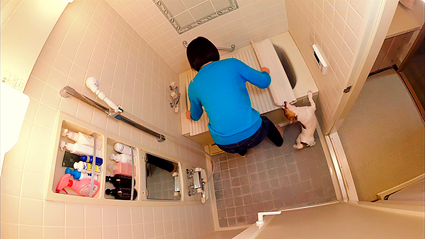 リロ きょうのわんこ 写真4