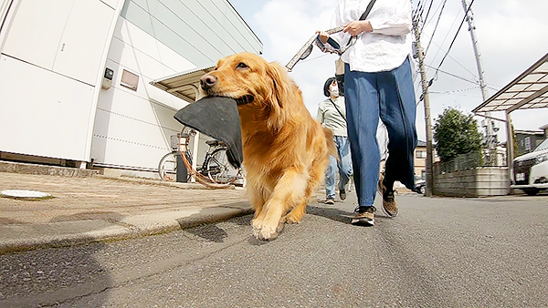 モカ きょうのわんこ 写真3