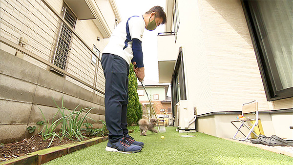 イチロー きょうのわんこ 写真3