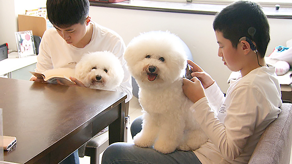 にこ きょうのわんこ 写真1
