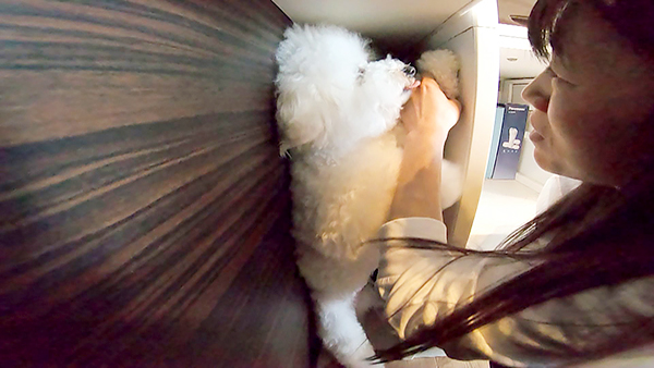 にこ＆いっこ きょうのわんこ 写真3