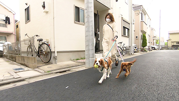 福 きょうのわんこ 写真4