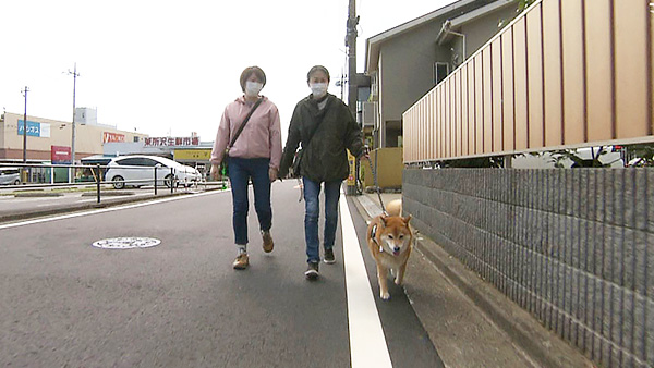 こたろう きょうのわんこ 写真2
