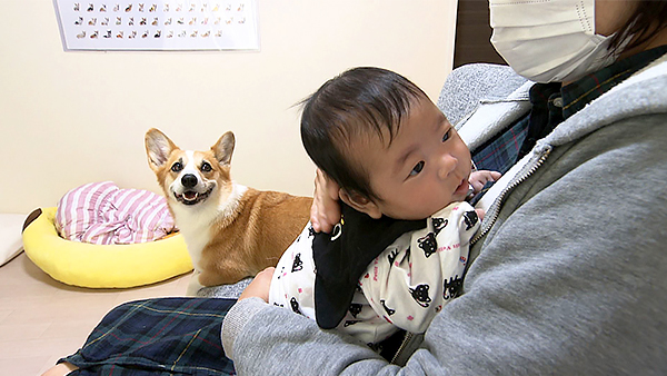 ぱん きょうのわんこ 写真2