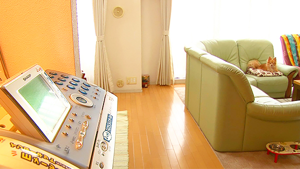 恋 きょうのわんこ 写真2