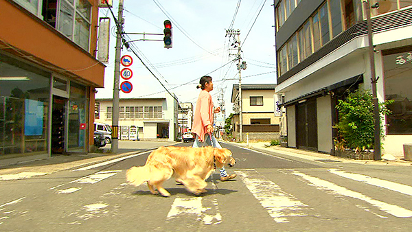 蓮 きょうのわんこ 写真2