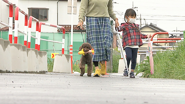 モカ きょうのわんこ 写真4